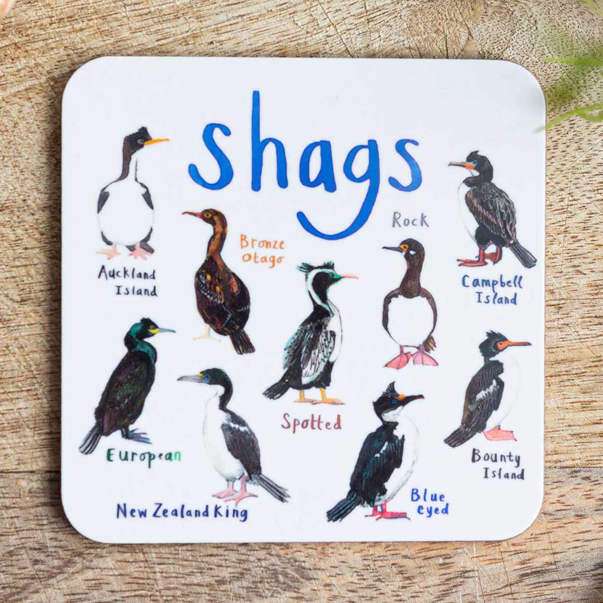 Shags Coaster