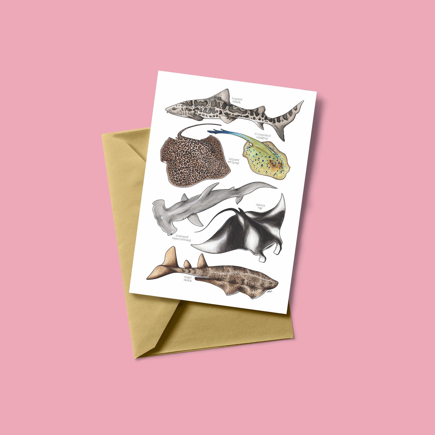 Sharks & Rays Greetings Card