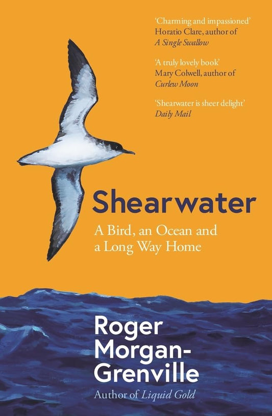Shearwater - By Roger Morgan-Grenville