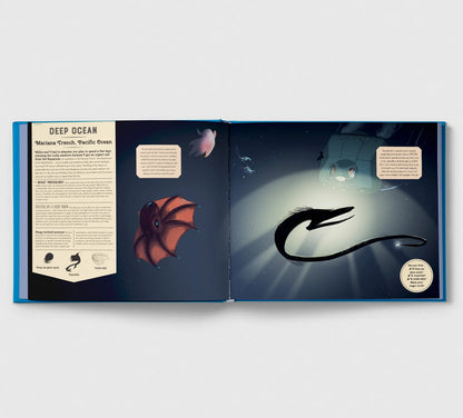 Shine Your Magic Torch: Mysteries of the Ocean - By Camilla de la Bedoyere, Illustrated by Alexandria Neonakis