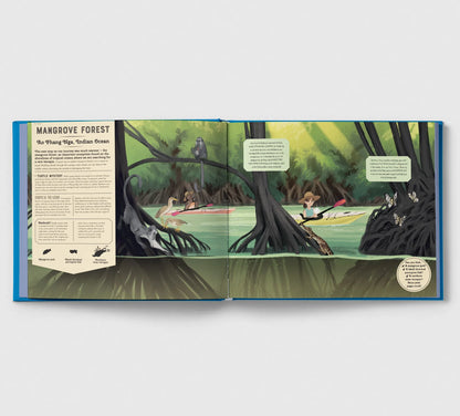 Shine Your Magic Torch: Mysteries of the Ocean - By Camilla de la Bedoyere, Illustrated by Alexandria Neonakis