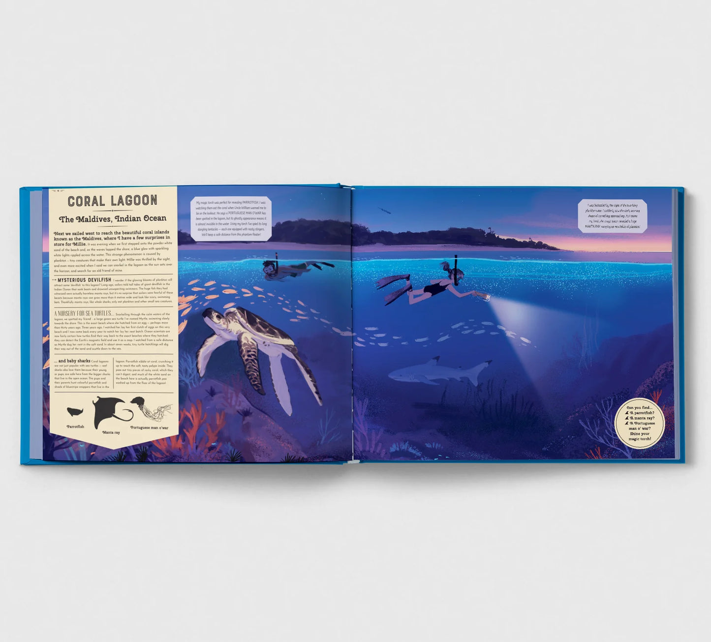 Shine Your Magic Torch: Mysteries of the Ocean - By Camilla de la Bedoyere, Illustrated by Alexandria Neonakis