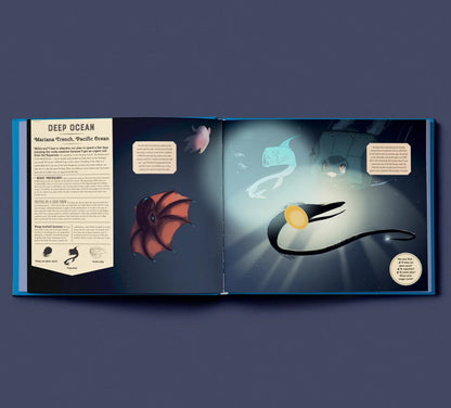 Shine Your Magic Torch: Mysteries of the Ocean - By Camilla de la Bedoyere, Illustrated by Alexandria Neonakis