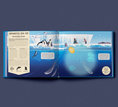 Shine Your Magic Torch: Mysteries of the Ocean - By Camilla de la Bedoyere, Illustrated by Alexandria Neonakis