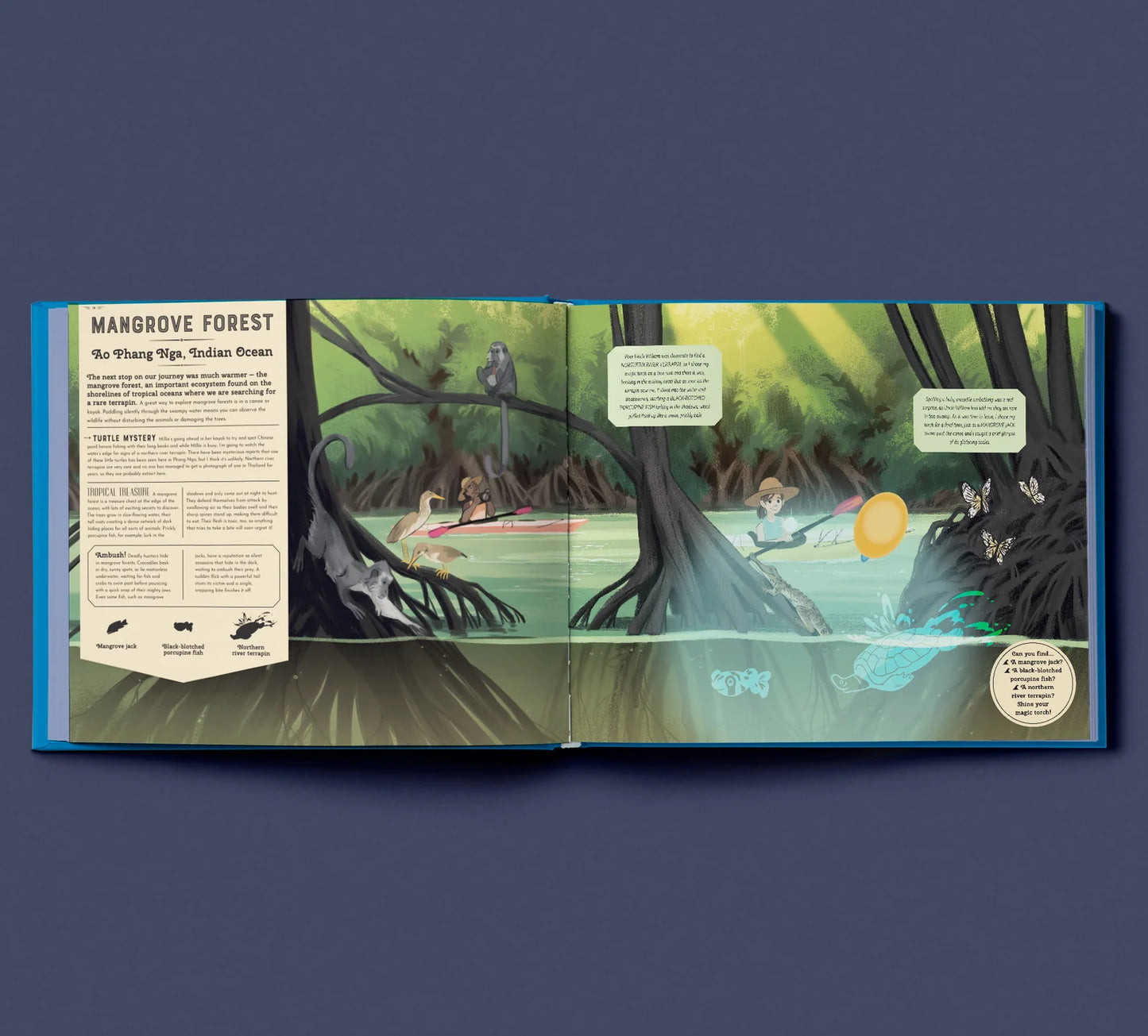 Shine Your Magic Torch: Mysteries of the Ocean - By Camilla de la Bedoyere, Illustrated by Alexandria Neonakis
