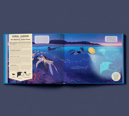 Shine Your Magic Torch: Mysteries of the Ocean - By Camilla de la Bedoyere, Illustrated by Alexandria Neonakis