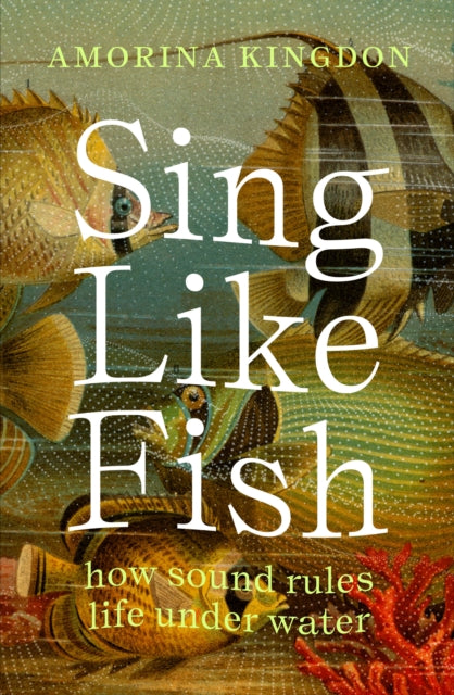 Sing Like Fish - By Amorina Kingdon
