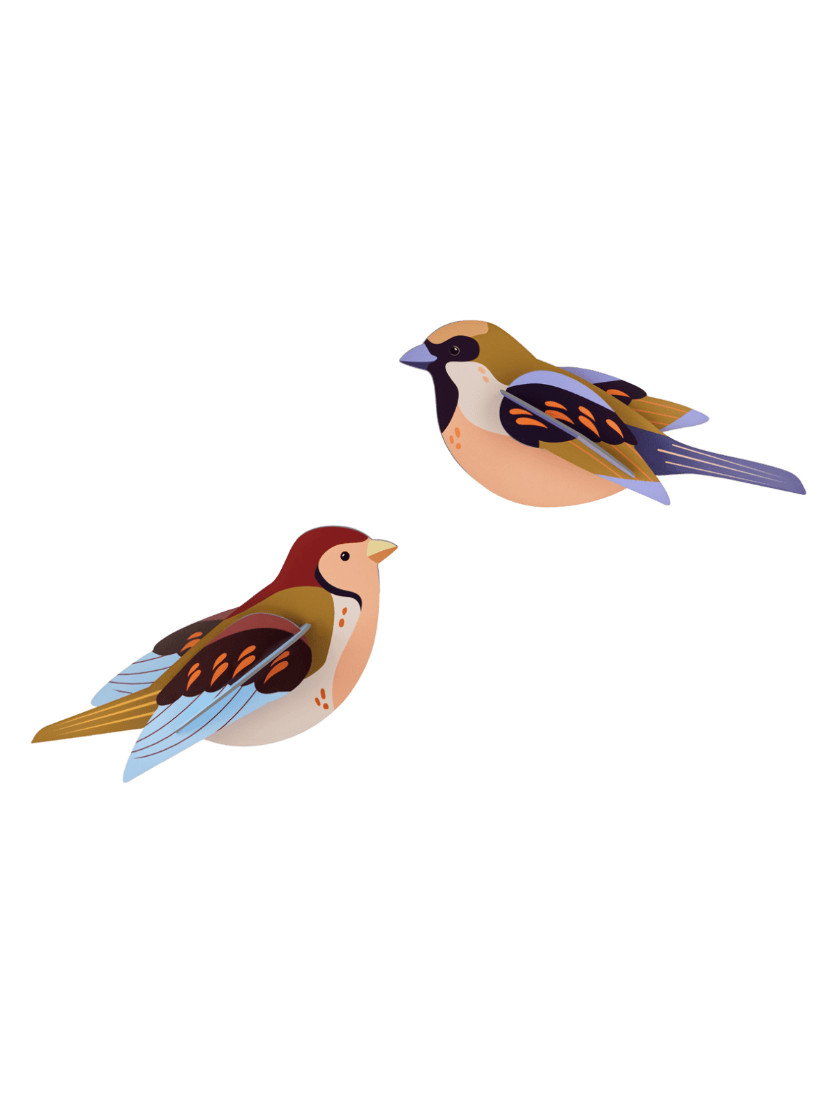 Sparrows - StudioROOF