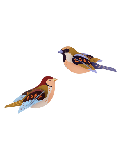 Sparrows - StudioROOF