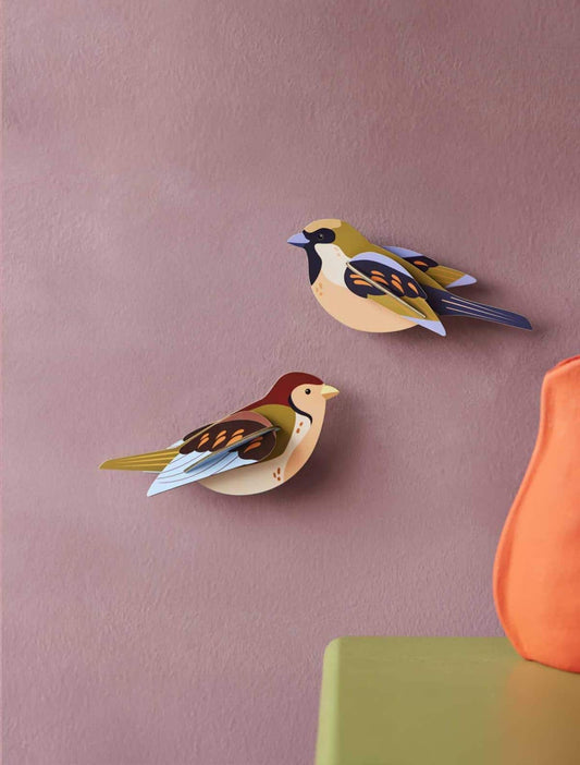Sparrows - StudioROOF