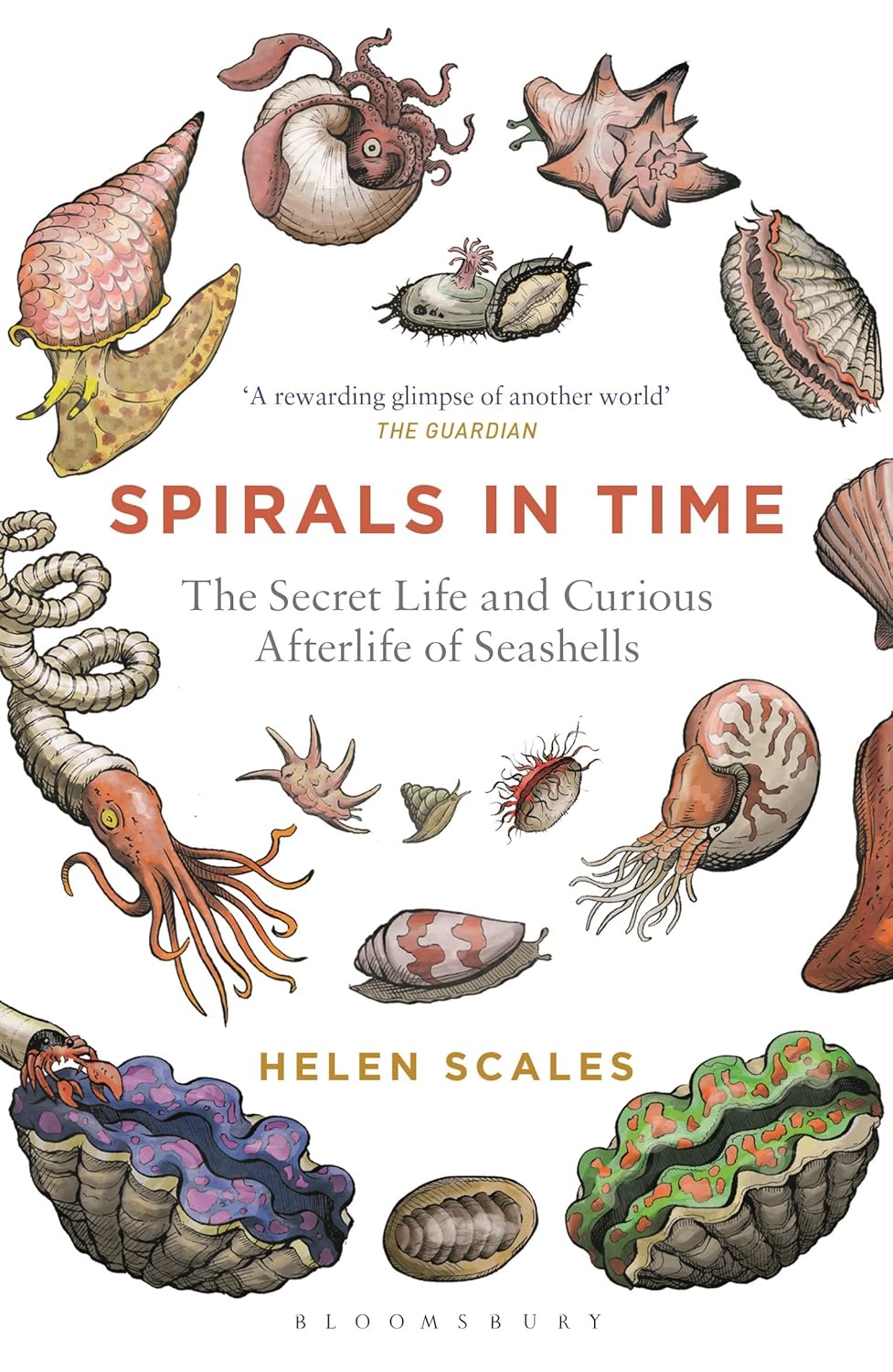 Spirals in Time - By Helen Scales