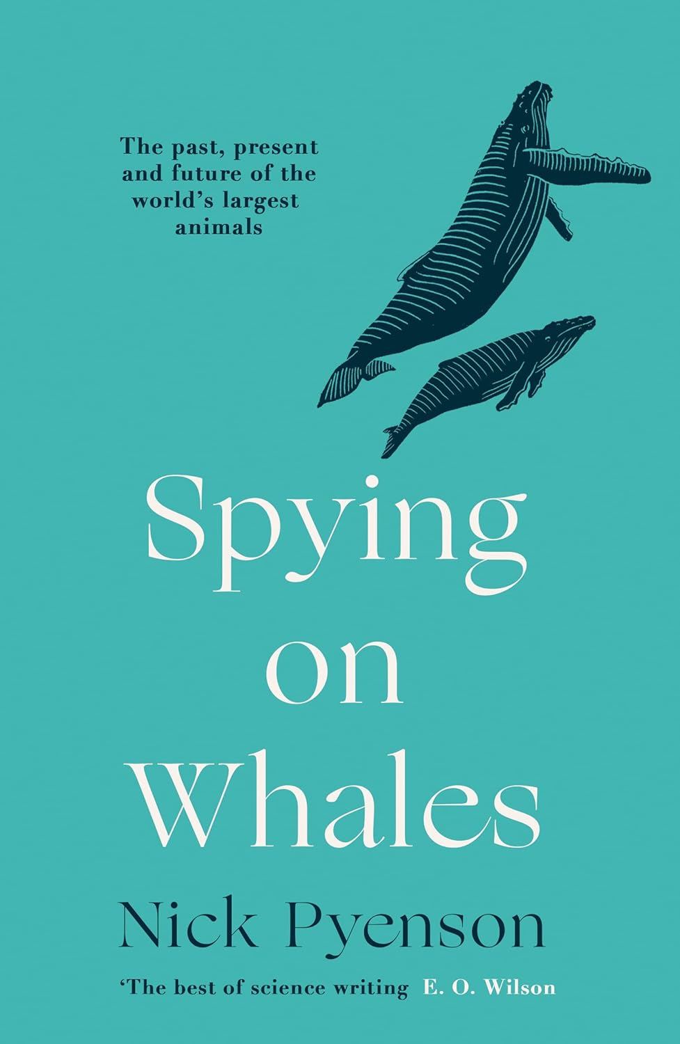 Spying on Whales - By Nick Pyenson