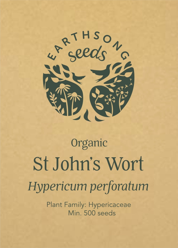 St John's Wort - Seed Packet