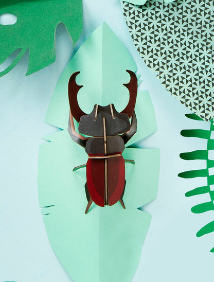 Stag Beetle - StudioROOF