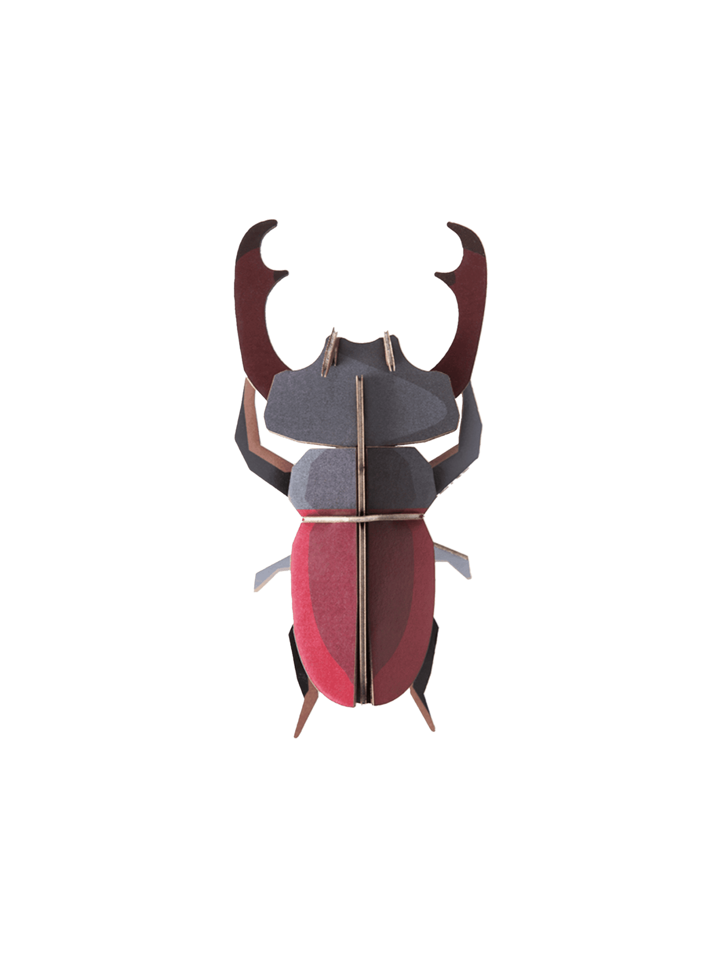 Stag Beetle - StudioROOF