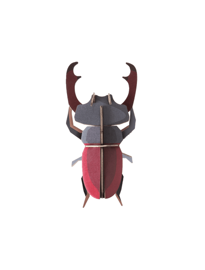 Stag Beetle - StudioROOF