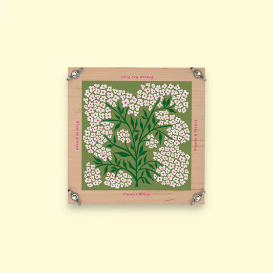Flower Press - Forget Me Not