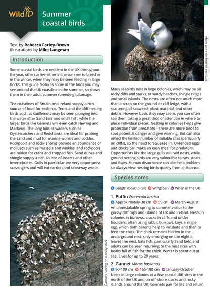 Summer Coastal Birds - Wild ID Guide