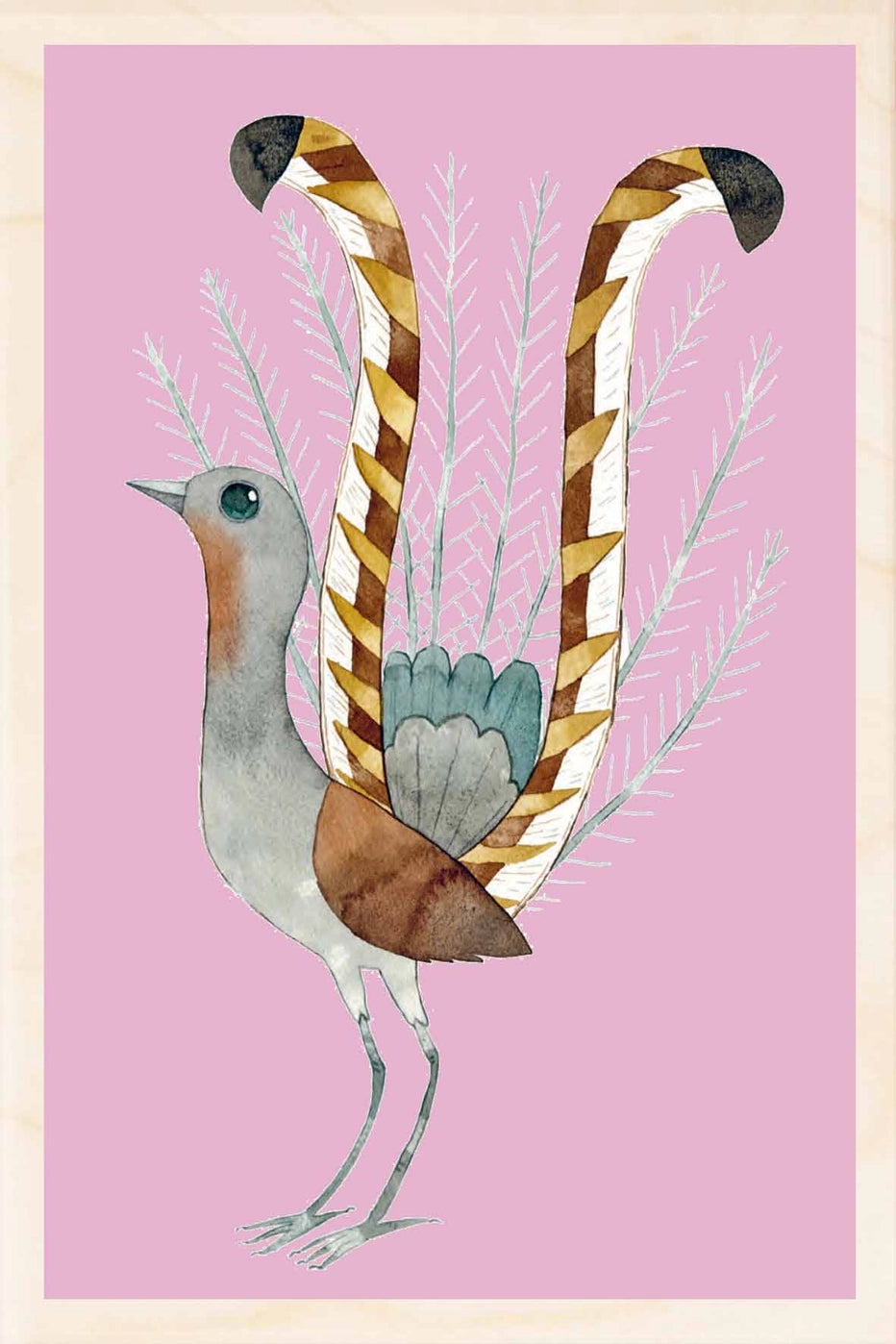 Superb Lyrebird Wooden Postcard