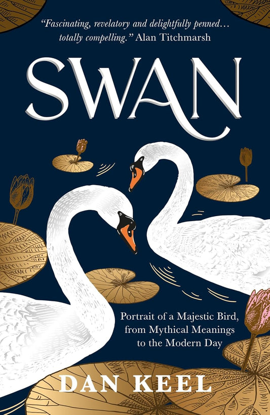 Swan - By Dan Keel