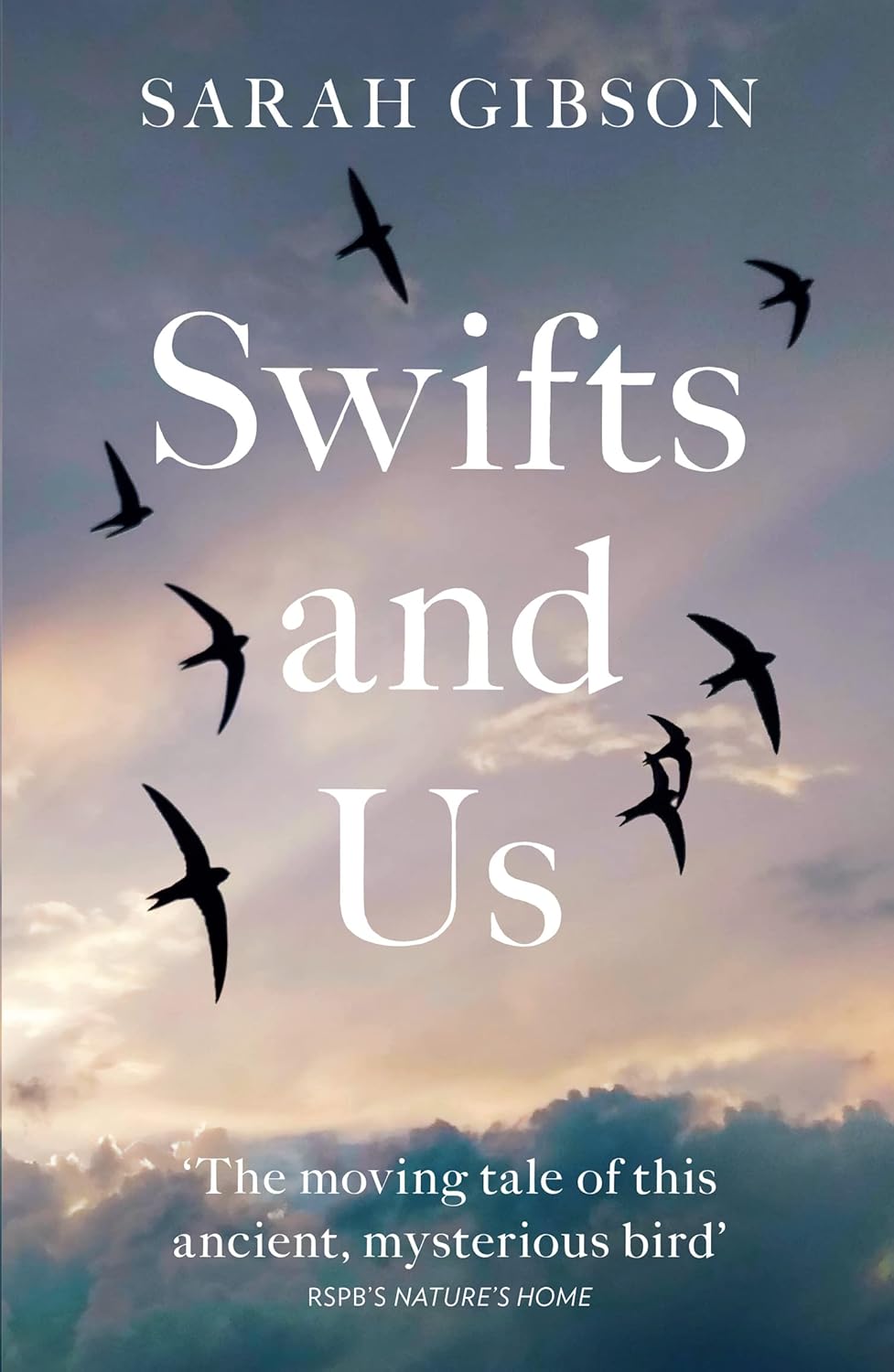 Swifts and Us - By Sarah Gibson