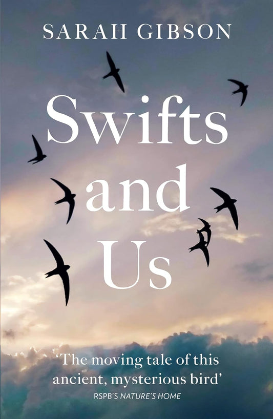 Swifts and Us - By Sarah Gibson