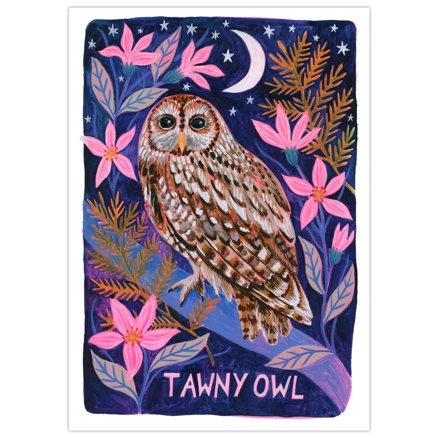 Tawny Owl Art Print