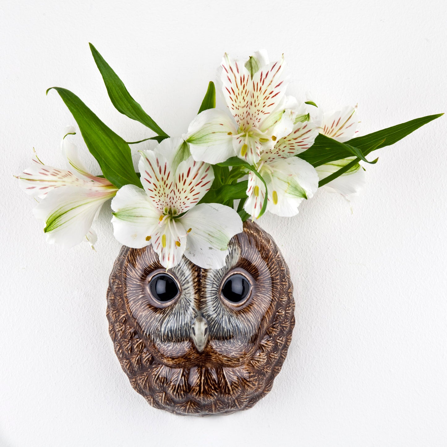 Tawny Owl Wall Vase (Small)