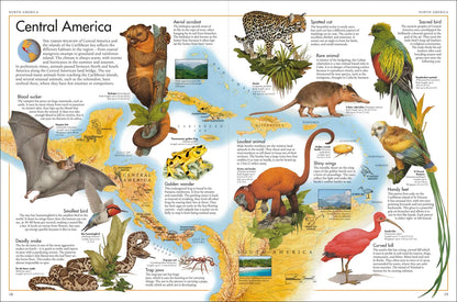 The Animal Atlas - By DK & Kenneth Lily