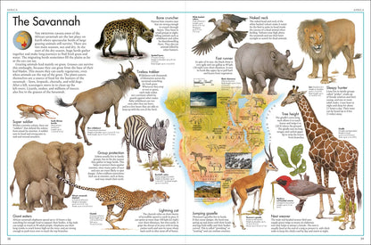 The Animal Atlas - By DK & Kenneth Lily