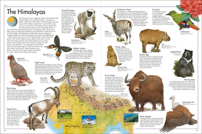 The Animal Atlas - By DK & Kenneth Lily