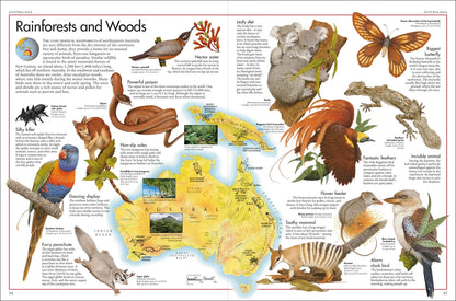 The Animal Atlas - By DK & Kenneth Lily