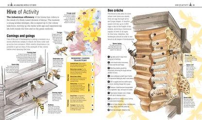 The Bee Book - By Charlotte Milner