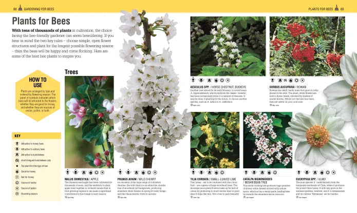 The Bee Book - By Charlotte Milner