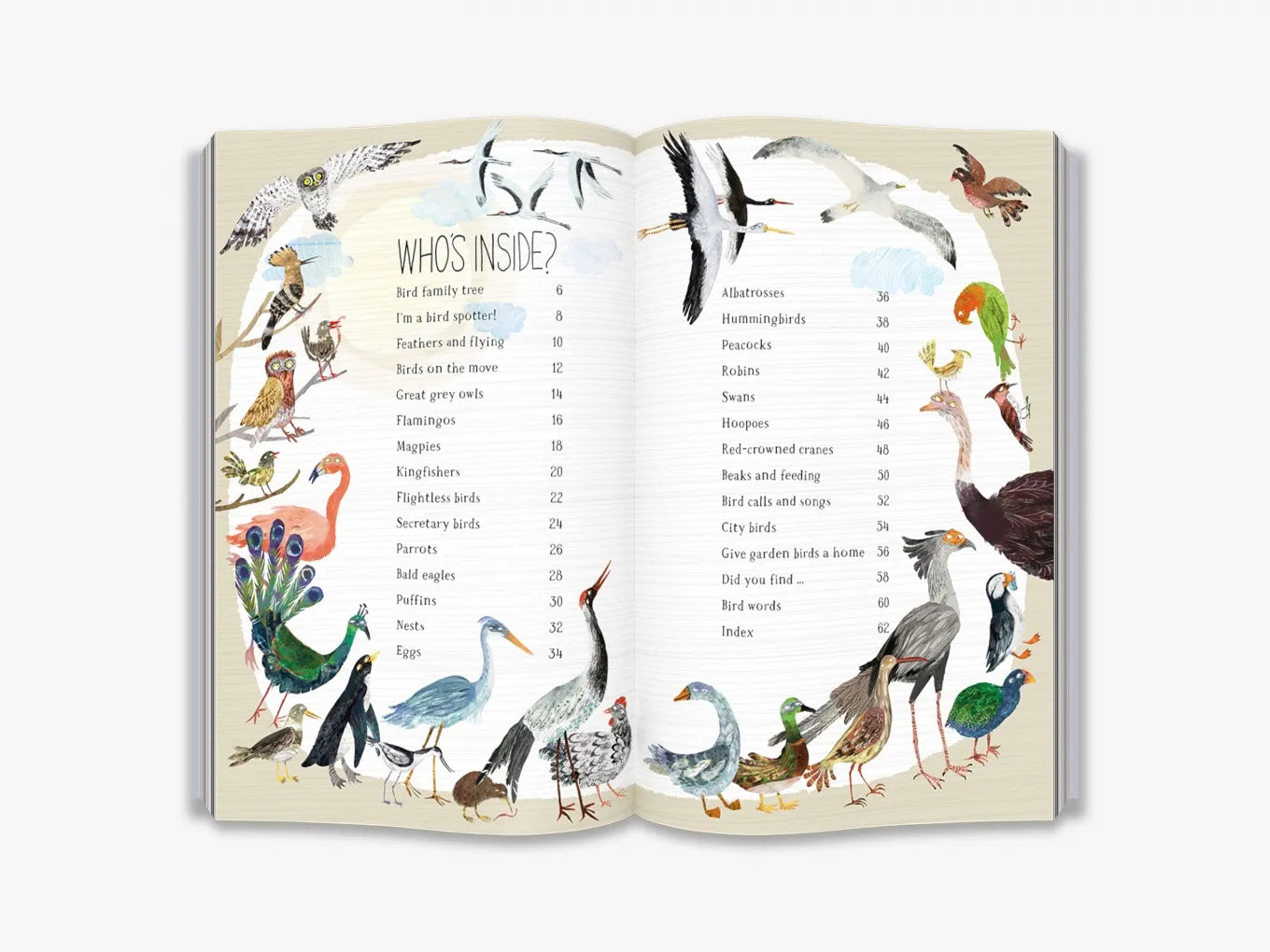The Big Book of Birds - By Yuval Zommer