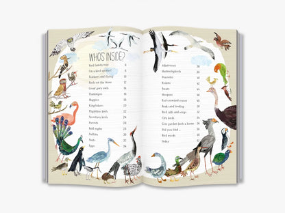 The Big Book of Birds - By Yuval Zommer