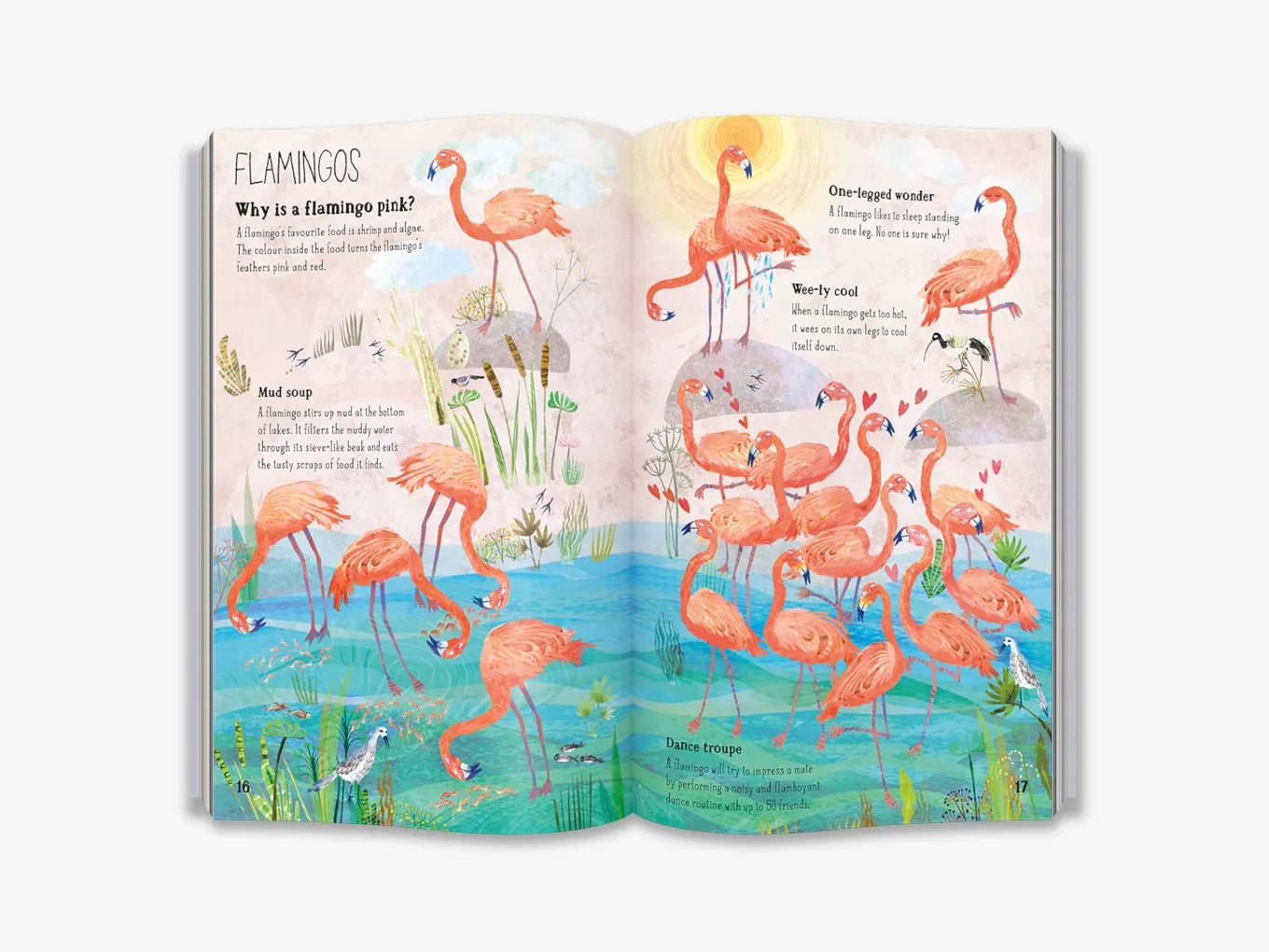The Big Book of Birds - By Yuval Zommer