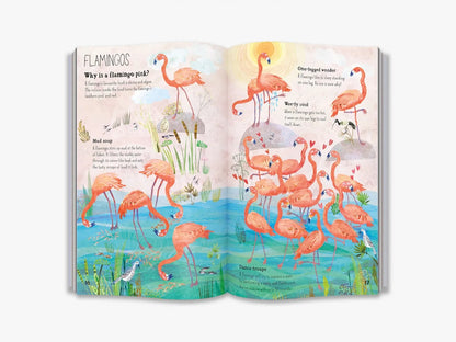 The Big Book of Birds - By Yuval Zommer