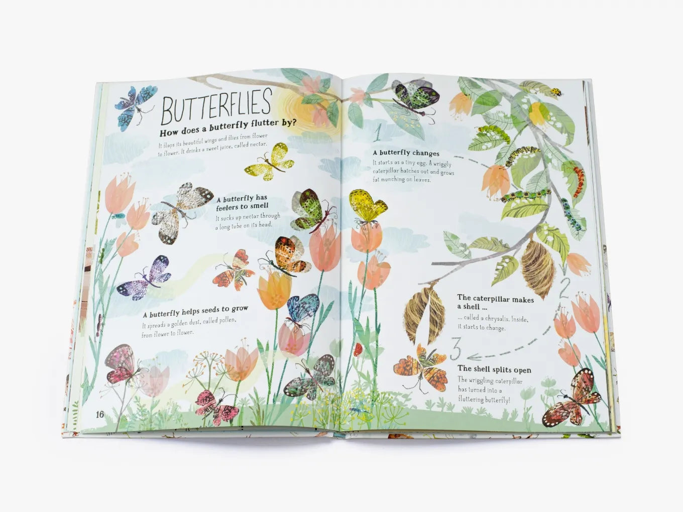 The Big Book of Bugs - By Yuval Zommer