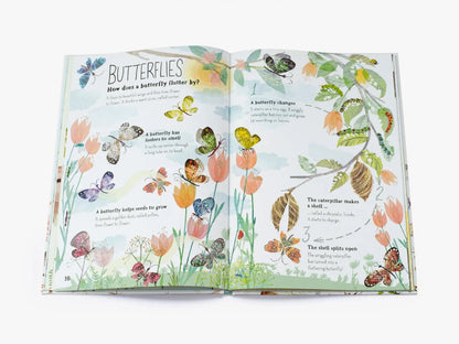 The Big Book of Bugs - By Yuval Zommer
