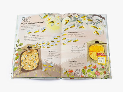 The Big Book of Bugs - By Yuval Zommer
