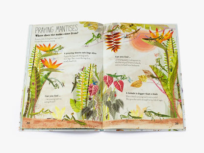 The Big Book of Bugs - By Yuval Zommer