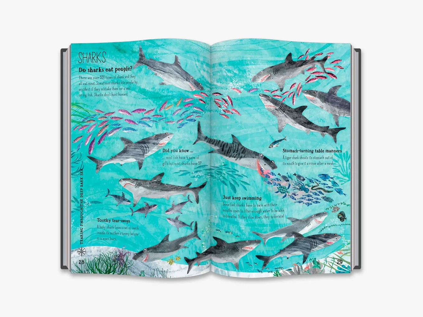 The Big Book of the Blue - By Yuval Zommer
