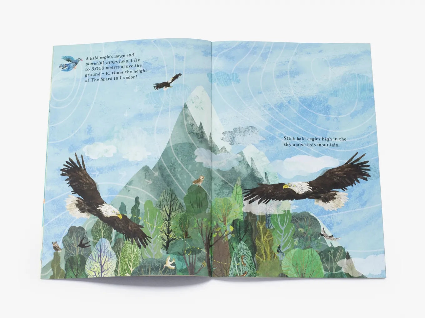 The Big Sticker Book of Birds - By Yuval Zommer