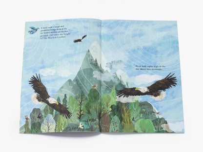 The Big Sticker Book of Birds - By Yuval Zommer