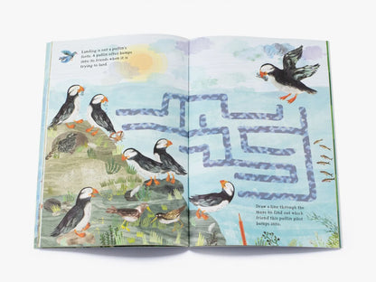 The Big Sticker Book of Birds - By Yuval Zommer