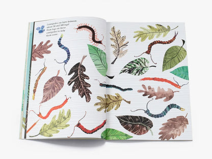 The Big Sticker Book of Bugs  - By Yuval Zommer