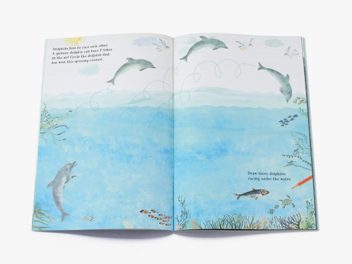 The Big Sticker Book of the Blue - By Yuval Zommer