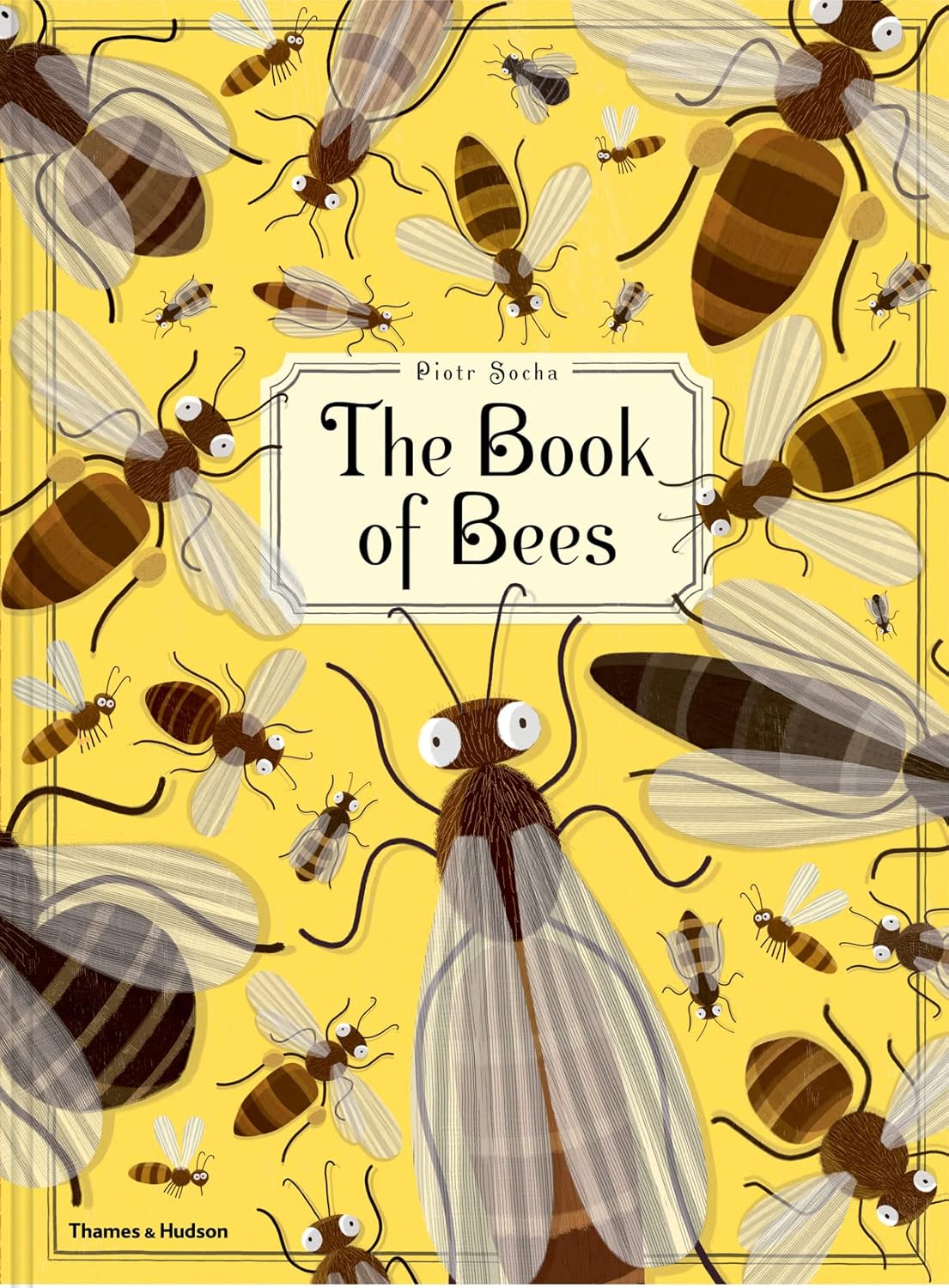 The Book of Bees - By Piotr Socha