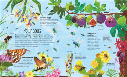The Book of Brilliant Bugs - By Jess French, Illustrated by Claire McElfatrick